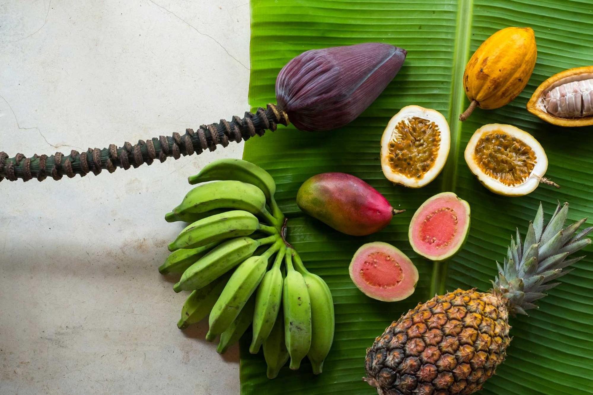 Pousada Picinguaba Ngoại thất bức ảnh